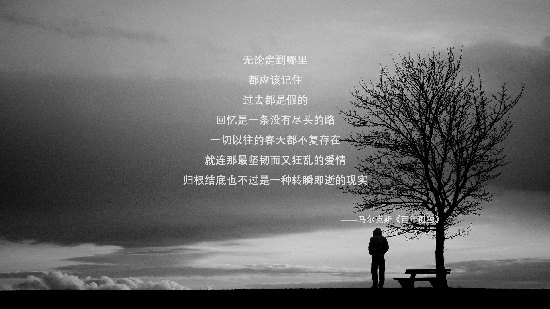 欧洲杯与欧冠：两个不同舞台的顶级对决，欧洲杯与欧冠的区别