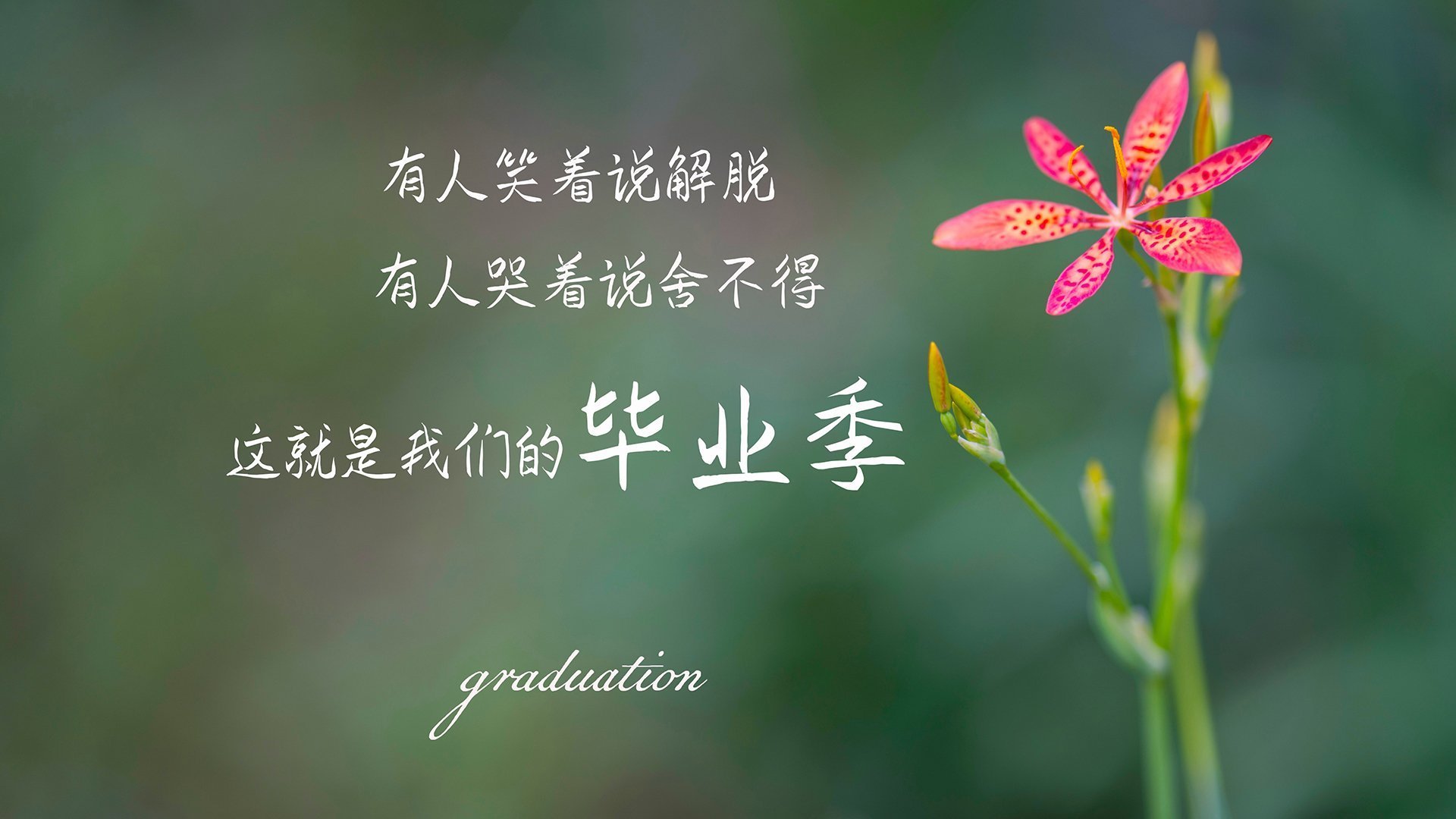 多特蒙德主场1-1战平弗赖堡，错失三分，多特蒙德对弗赖堡的比分预测