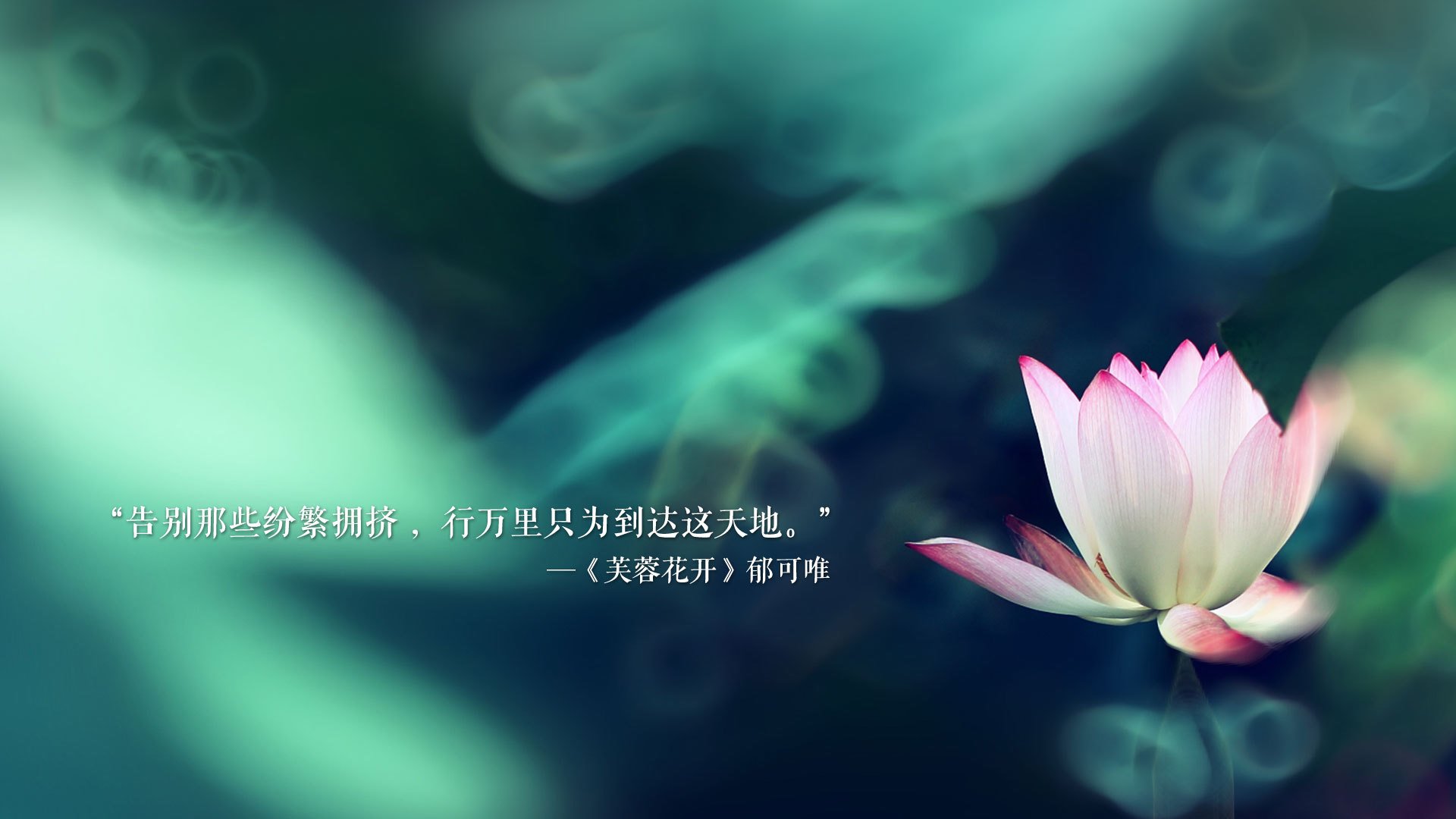 九游娱乐(jiuyou)官网-阿尔梅利亚主场胜利，赢得球迷欢心，阿尔梅利亚vs西班牙人