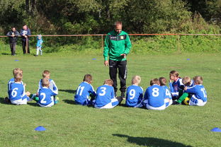 九游下载官网-南非混合泳团队战术引热议，南非的混合农业