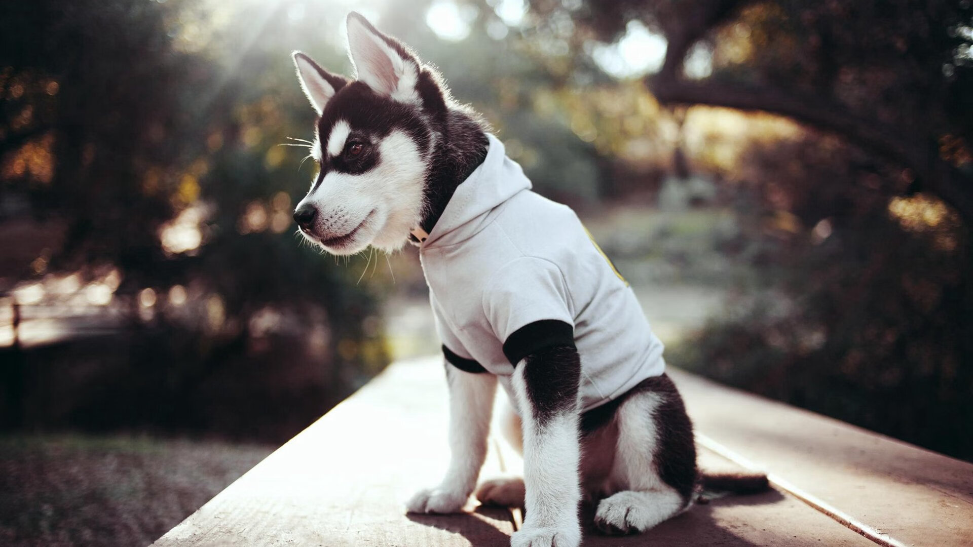 Jiuyou-掘金主力球员赛后发表感言感谢教练支持，掘金 主教练