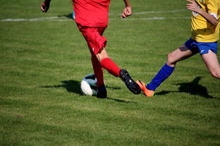 九游网页版官网入口-特色足球文化在国际博览会中亮相，展示国家软实力，世界足球文化