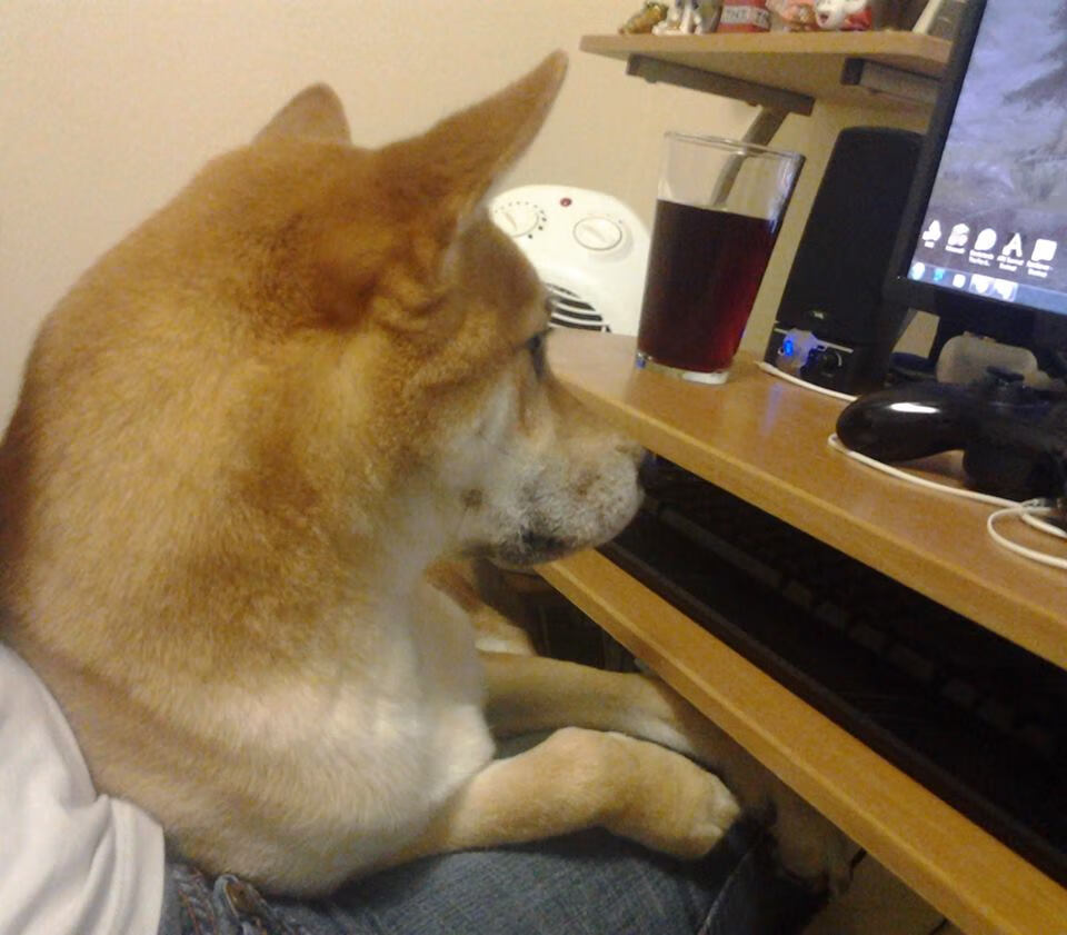 JIU YOU GAME-王楚钦登顶世界排名榜首振奋国乒，王楚钦参加世乒赛吗