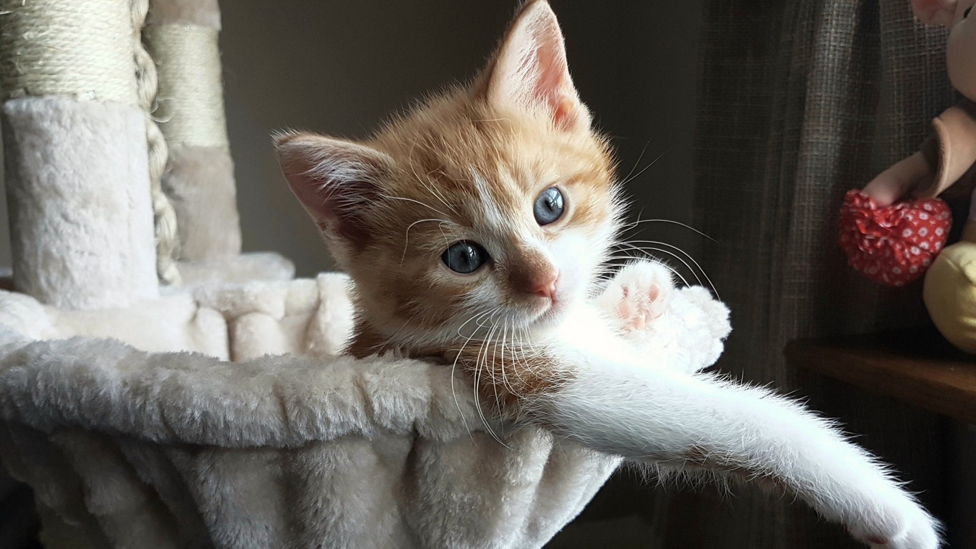 九游娱乐官网 (jiuyou)-职业球员拍摄纪录片展现训练背后故事传递正能量，球队摄影